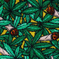 Hanf Patrol - Bucket Hat